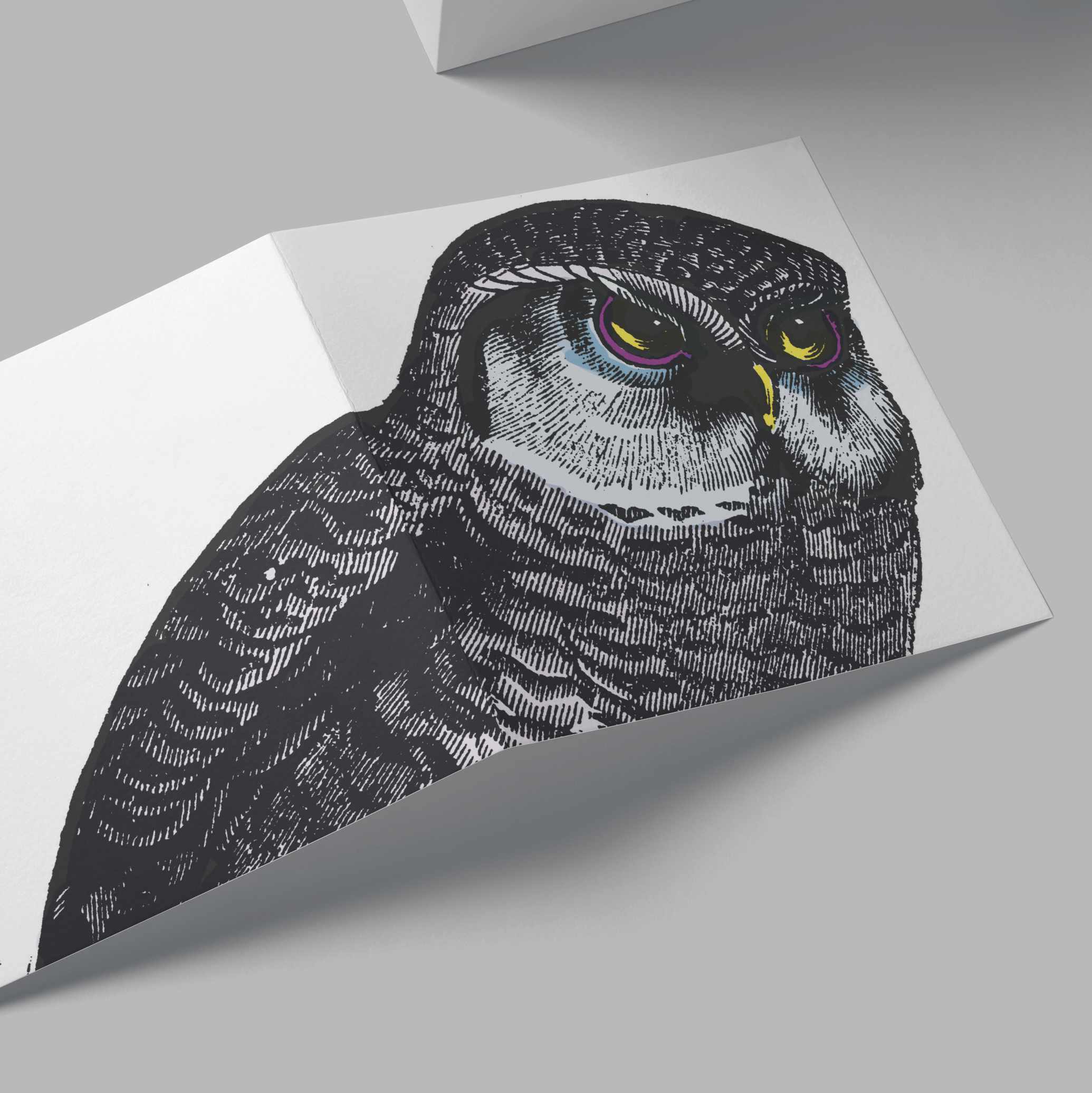 Owl Card